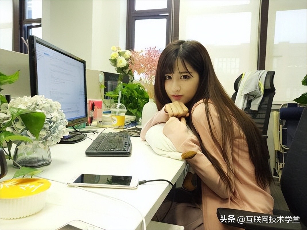 软件开发程序员怎么学,程序员软件开发和系统开发