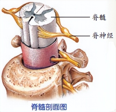 科学知识大全小学生必背,科学知识大全全集