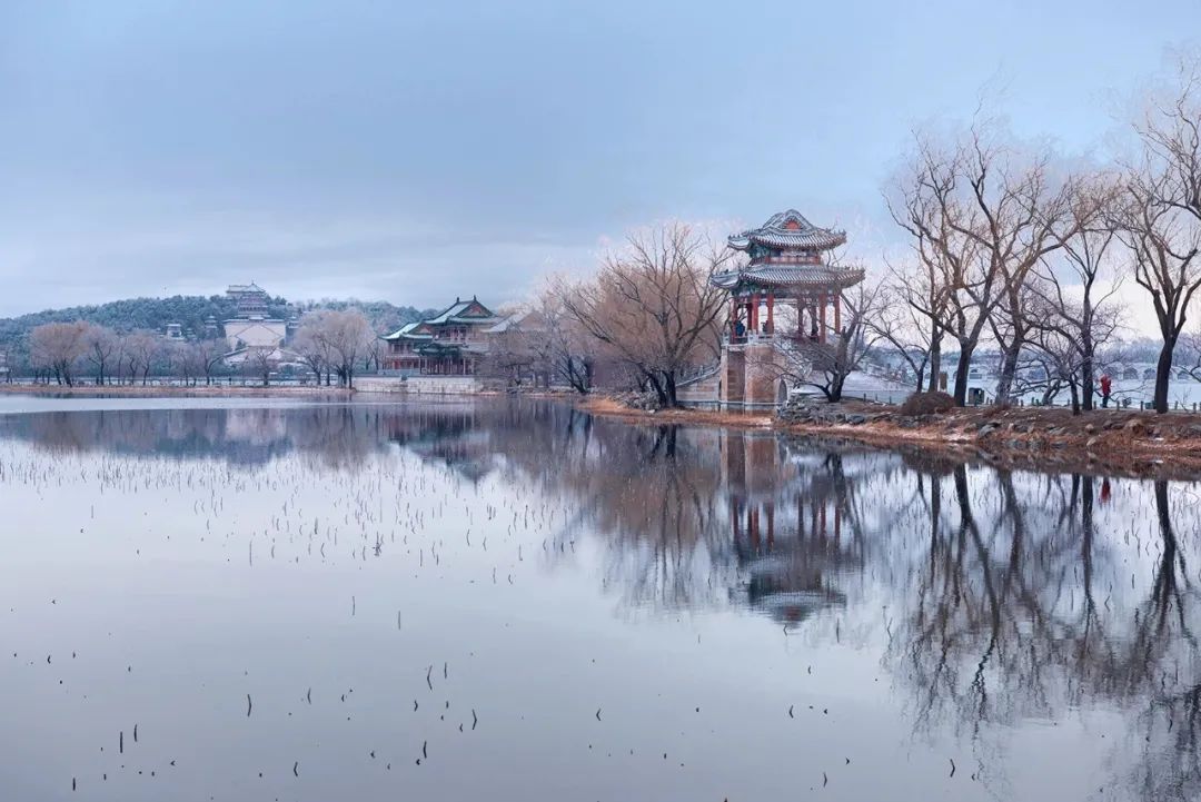 日本枯山水景观,日本枯山水中的树是什么树