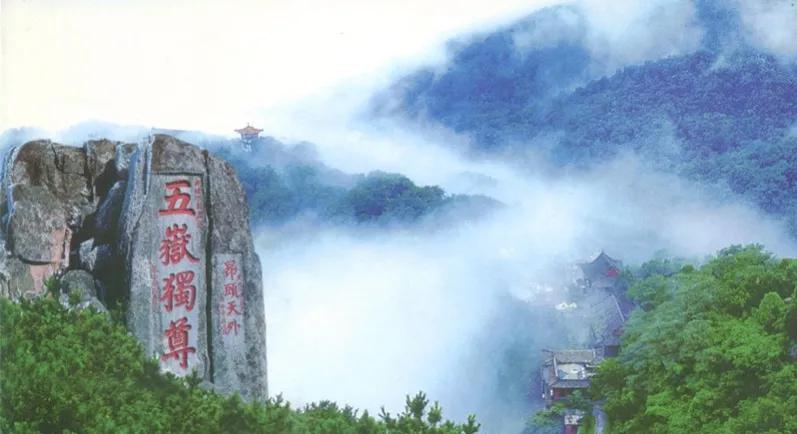 山东新发现的宝藏,山东寻宝记