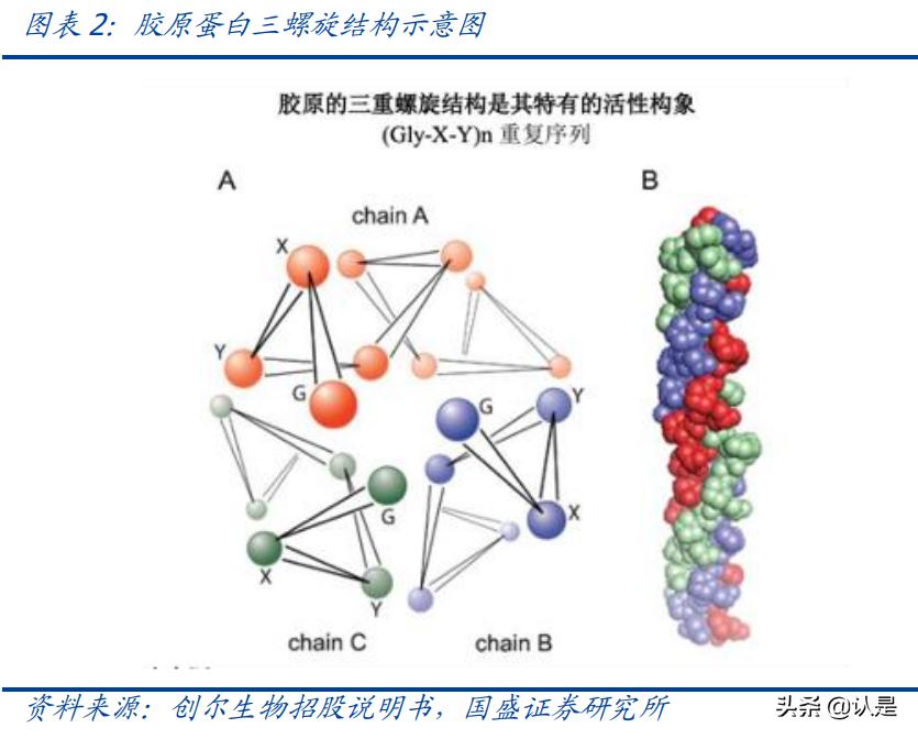 医美产业报告,医美胶原蛋白市场有多大
