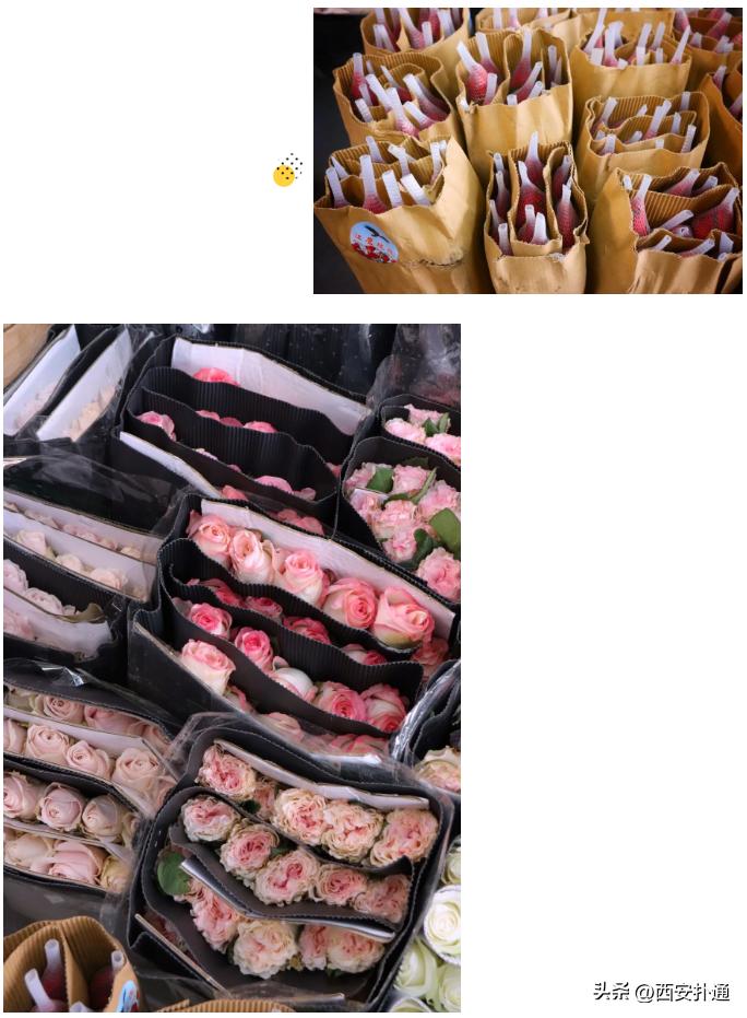 西安情人节去哪比较好,西安买花攻略