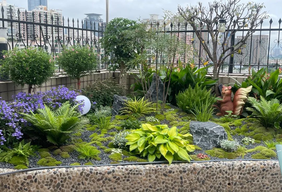 很多人羡慕的阳台,让别人羡慕的阳台