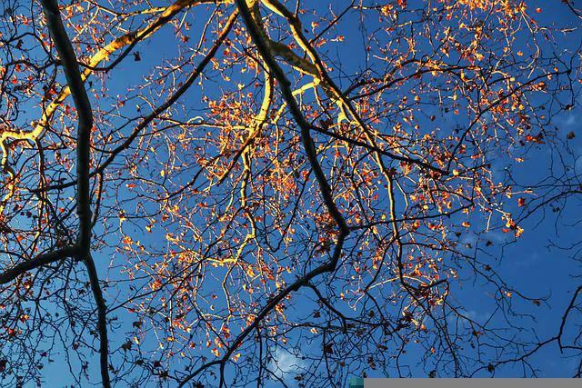 兴我华夏,非我大秋裤莫属