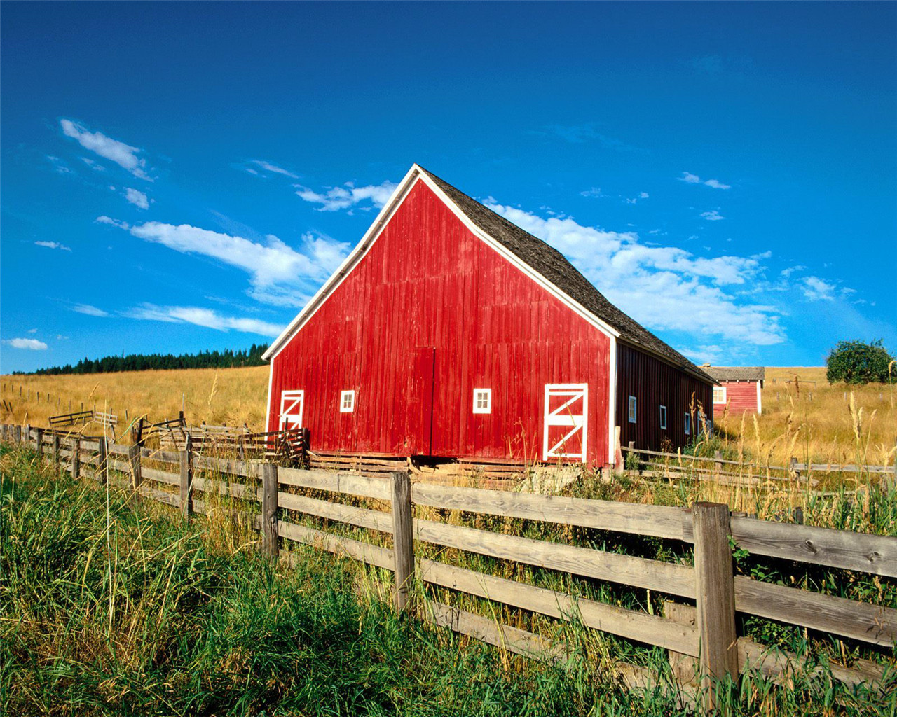 50张顶级绿色绝美壁纸,100张惊艳全屏壁纸风景