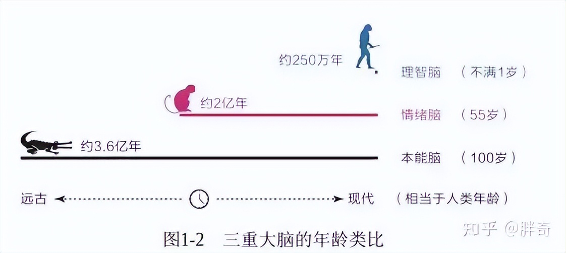 如何突破低效成长的“怪圈”，改变空虚内卷、低效麻木的状态？