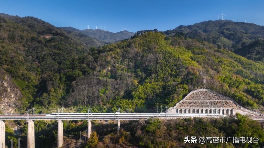 铁路12306用户密码忘了怎么办？看这里！