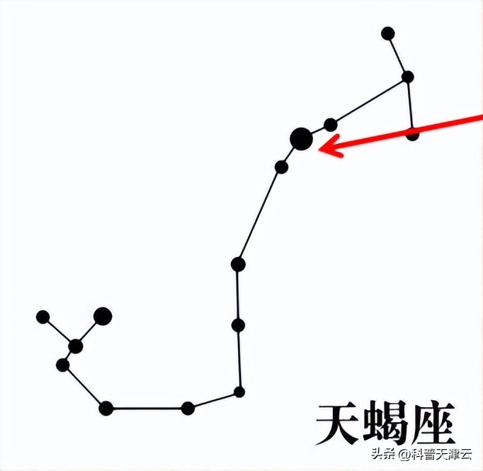 【科学向日葵】天文课堂|认识夏季星座（三十二）天蝎座