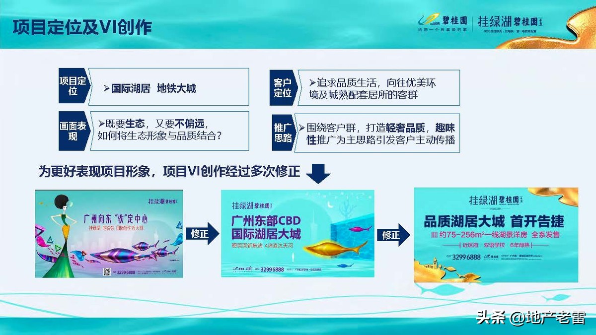 碧桂园精准发展方案,碧桂园的商品房改造方案