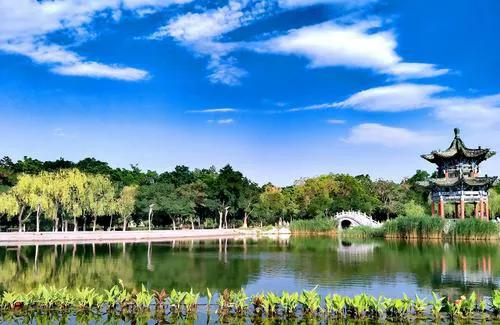 金川公园夜游图片,雨中的金川公园