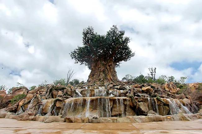 各投行生存现状,我国投行的现状及发展前景