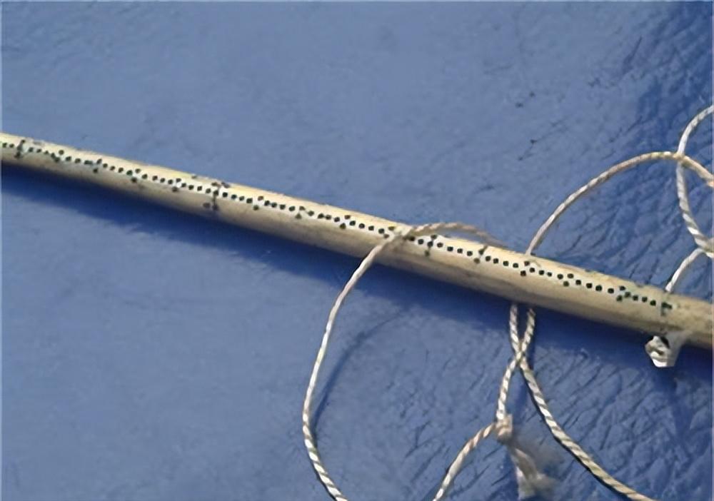 斧头砍不动的木头,斧头砍不动木头