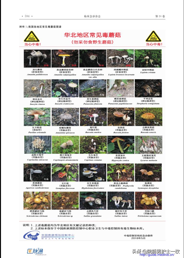 蘑菇中毒最常见品种,有毒蘑菇的八种识别方法