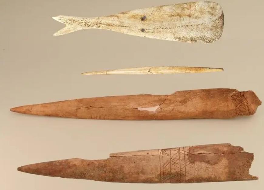 陕西出土7000年前的少女,陕西出土神秘死亡青年