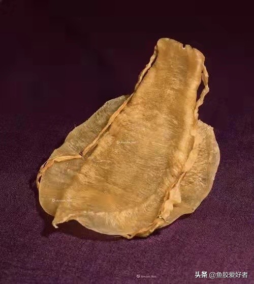 最全鱼胶品种大全,值得收藏的鱼胶品种