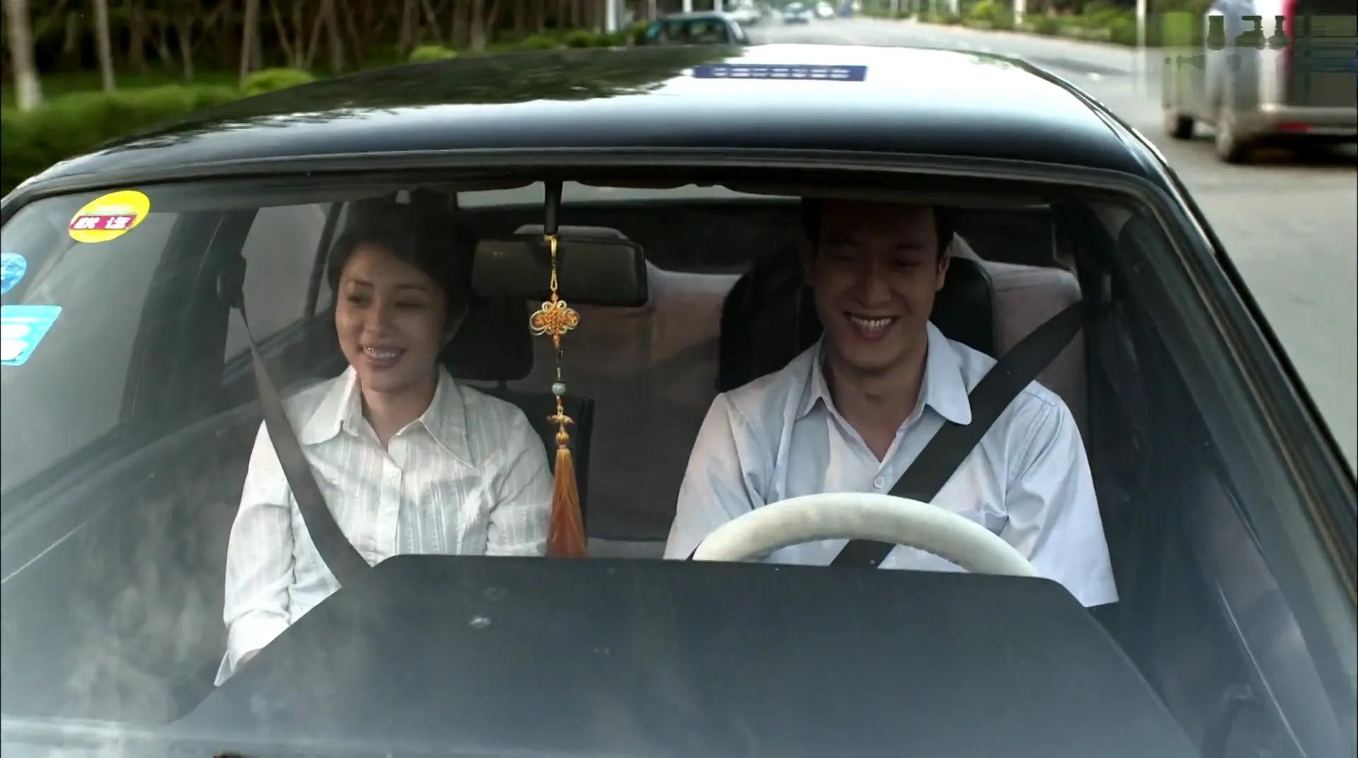 父母爱情王海洋怎么样了,父母爱情王海洋最后做什么