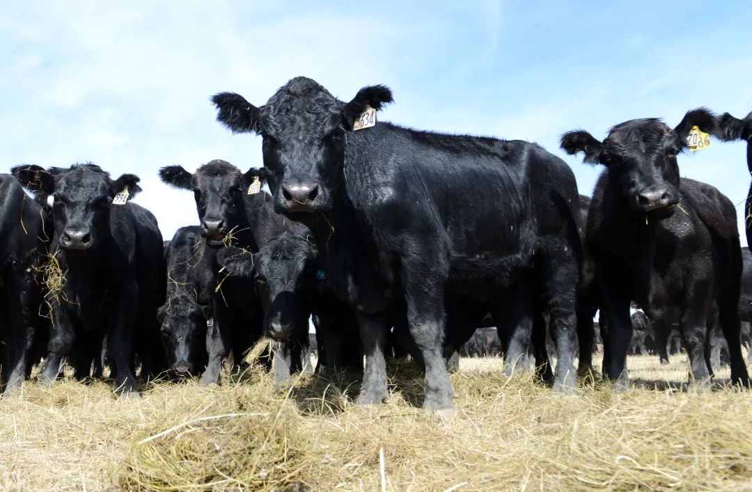 非凡成就伟大变革,非凡成就这十年