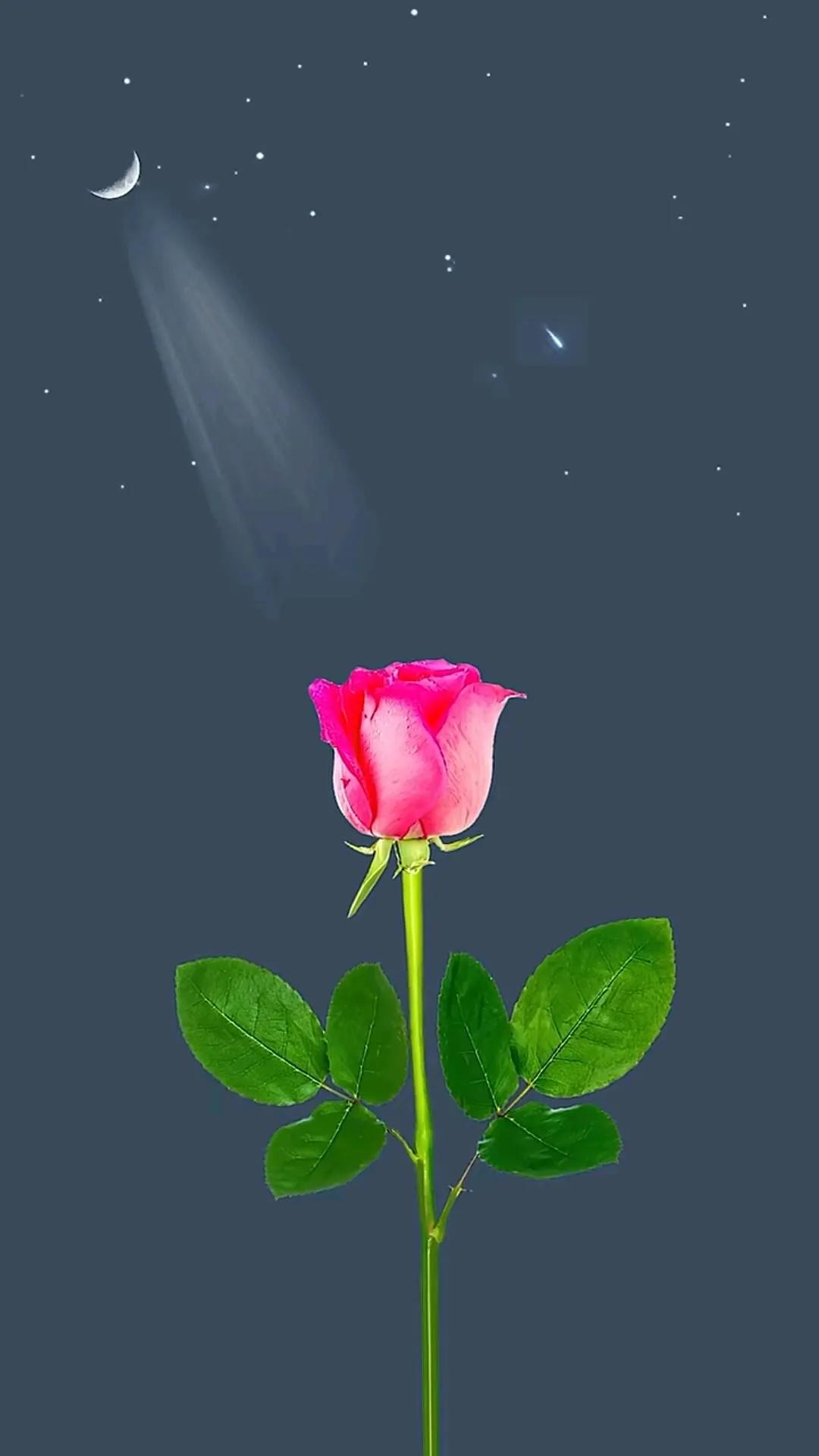 手机壁纸大全超好看动态,壁纸超清4k手机壁纸男生专用