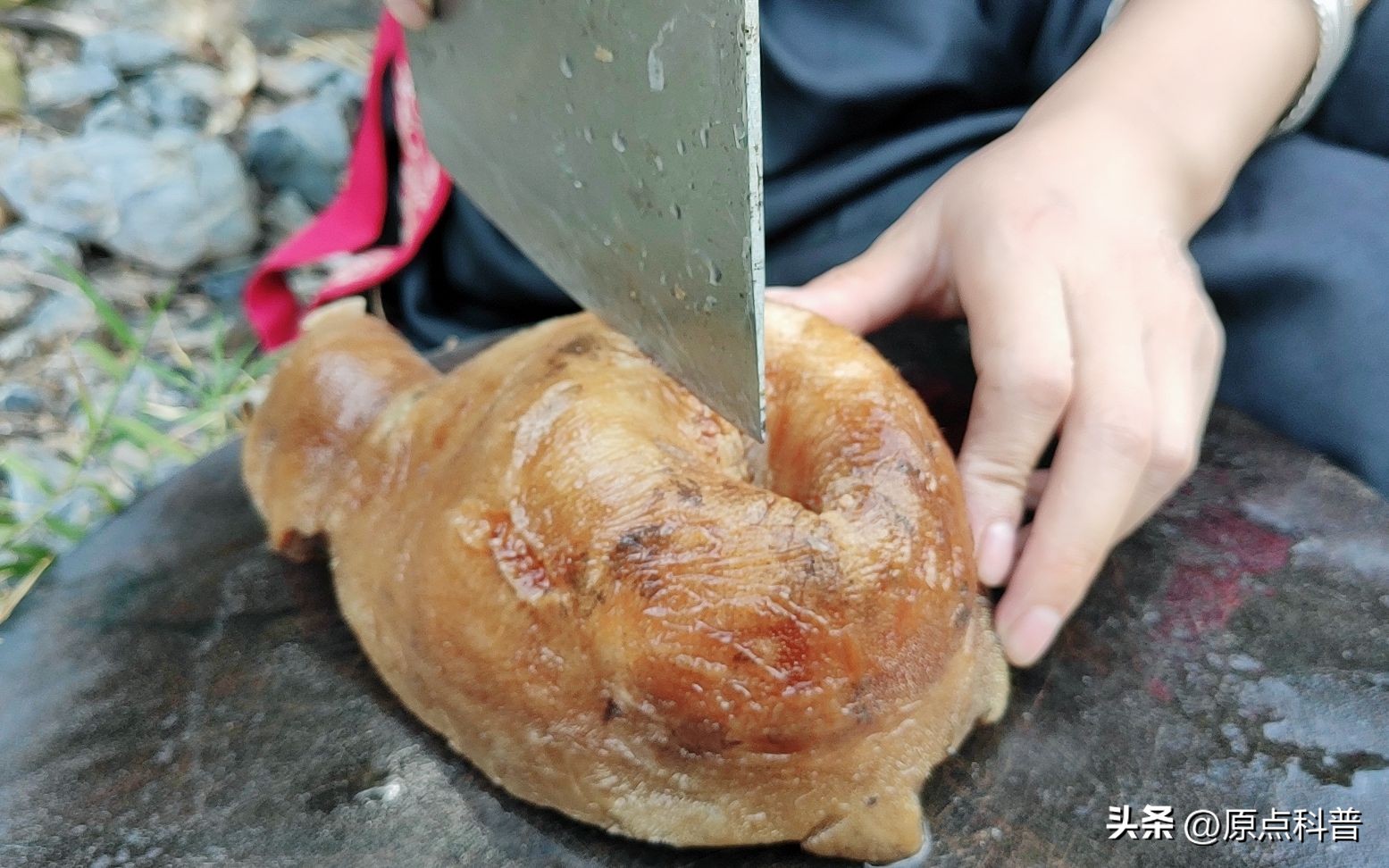 盘点外国人吃动物内脏,盘点人类不敢吃的七大外来物种