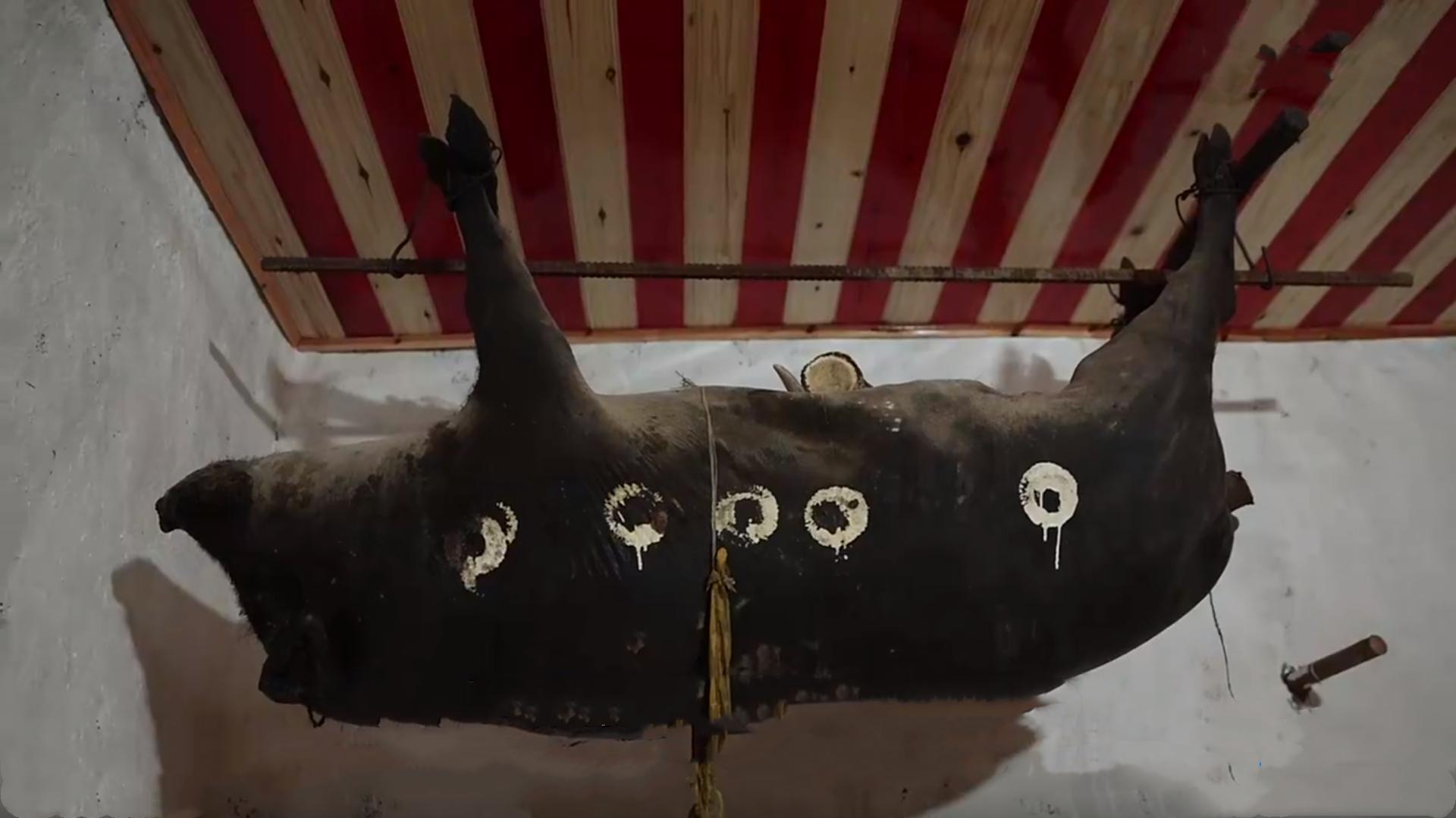 四川放几十年的臭猪肉,四川挂墙上的臭猪肉