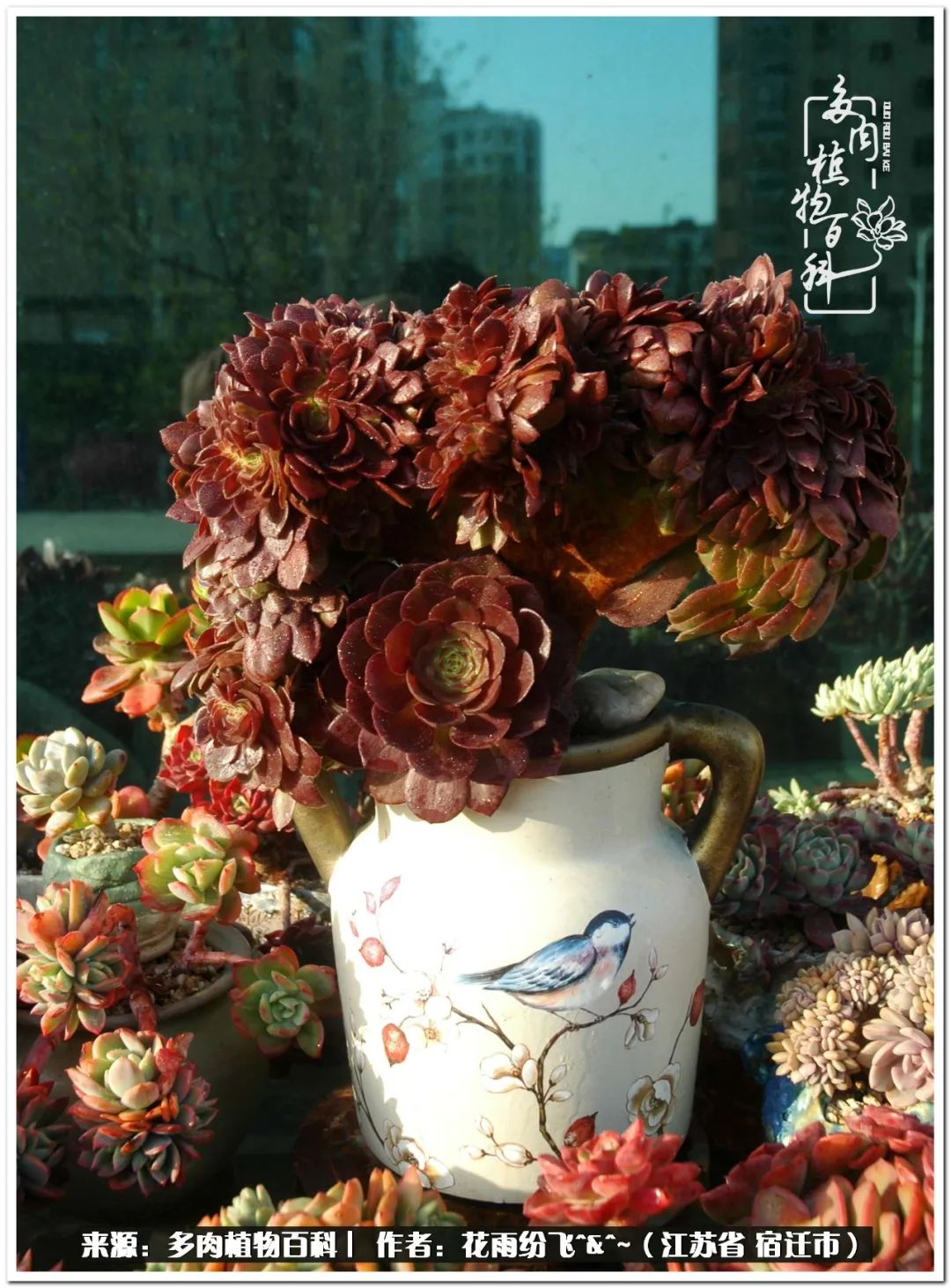 回味童年无忧无虑的快乐时光,童年最快乐的时光