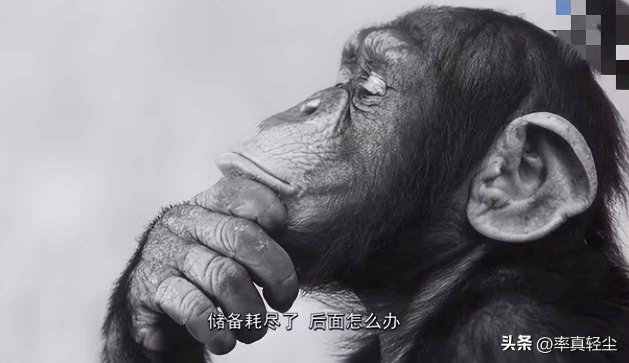 怎样快速解除关机状态,关机时怎样跳过强制关机