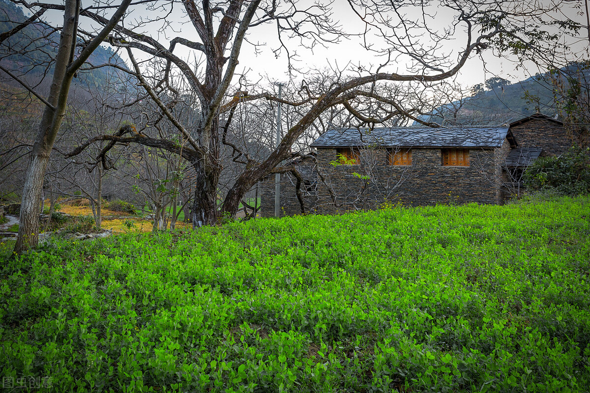 酷热难耐的八月即将过去,天气太热了回云南避暑