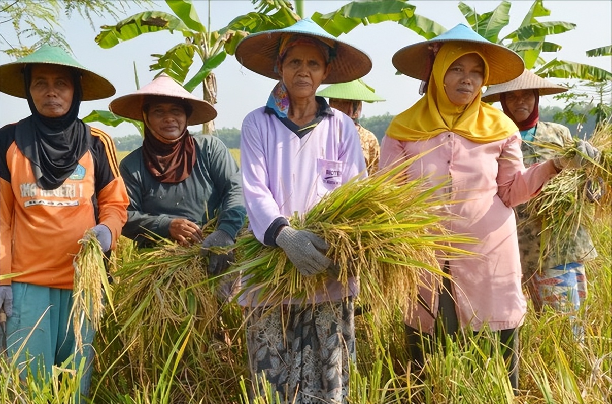 我国农村产业发展的现状及前景,农村产业发展存在的问题和对策