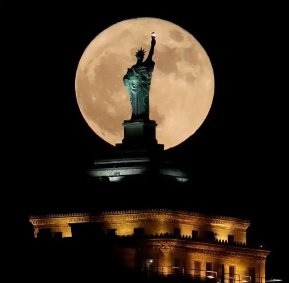 为什么那么多公知,知识分子和公知有什么区别