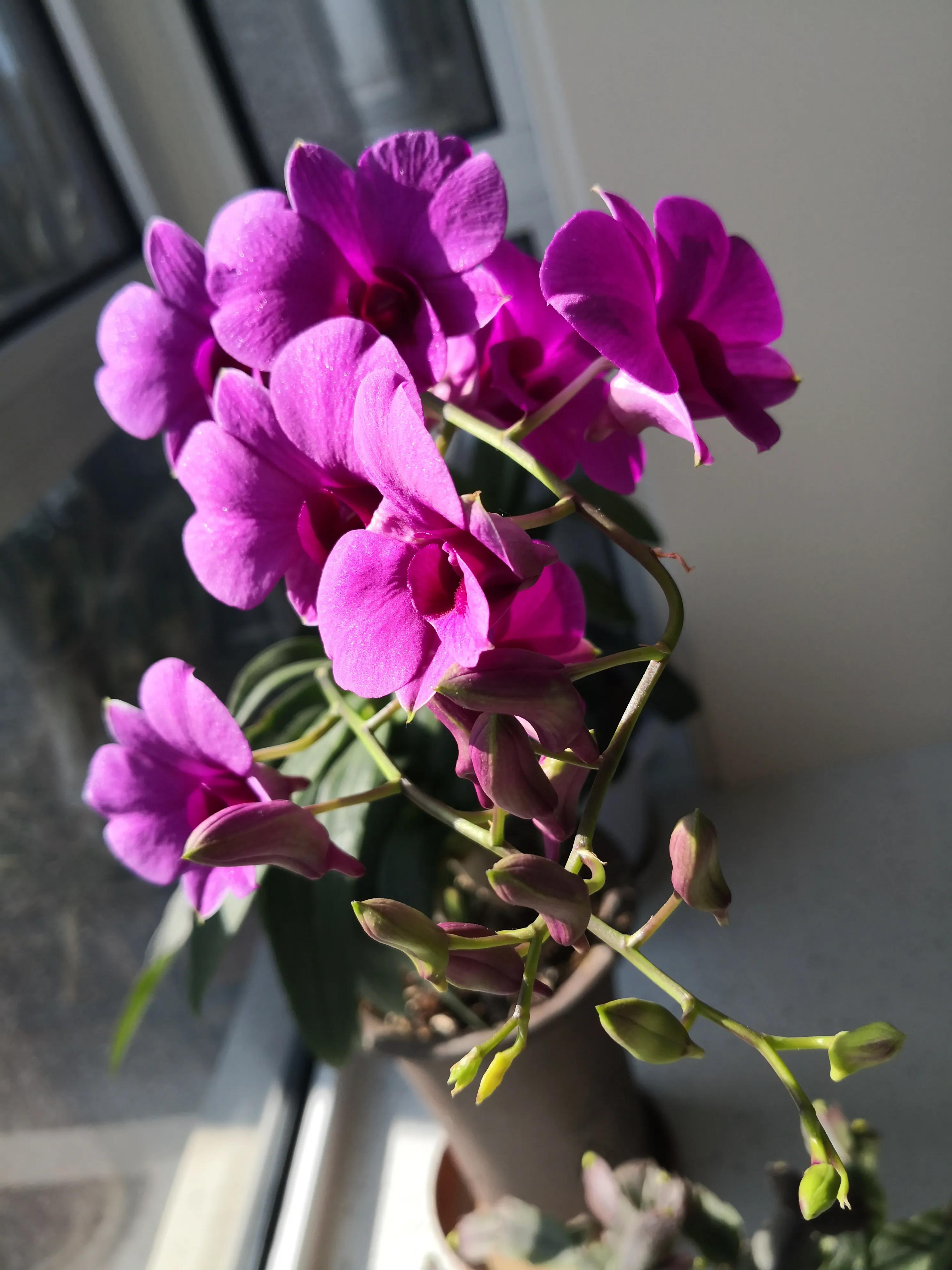 中国足球内幕-25