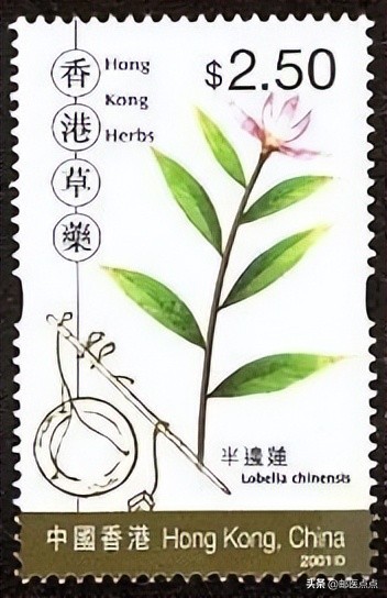 2024年香港邮票发行,香港邮票回归价格表