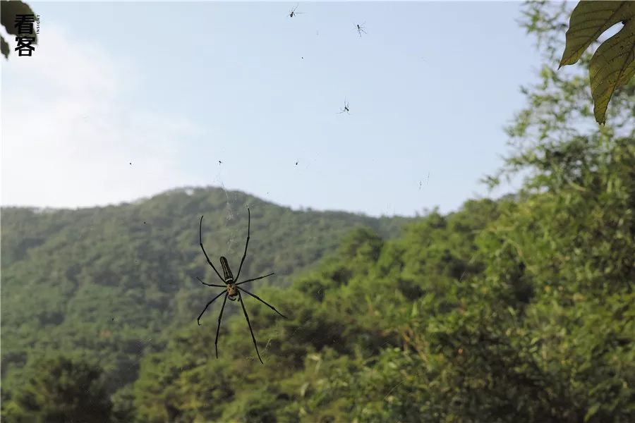 小镇的暑假,小镇少年的假期