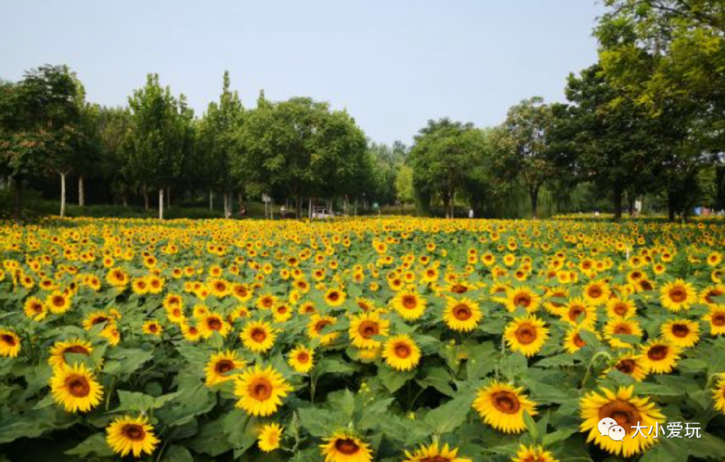 最适合骑行的公园,适合骑行的旅游地点推荐