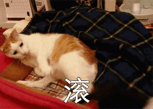 苹果13涨价了,苹果最新涨价消息