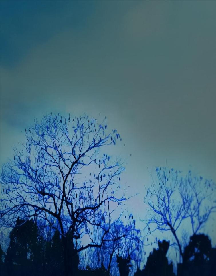 蓝珍珠花岗岩台阶,防滑槽花岗岩台阶