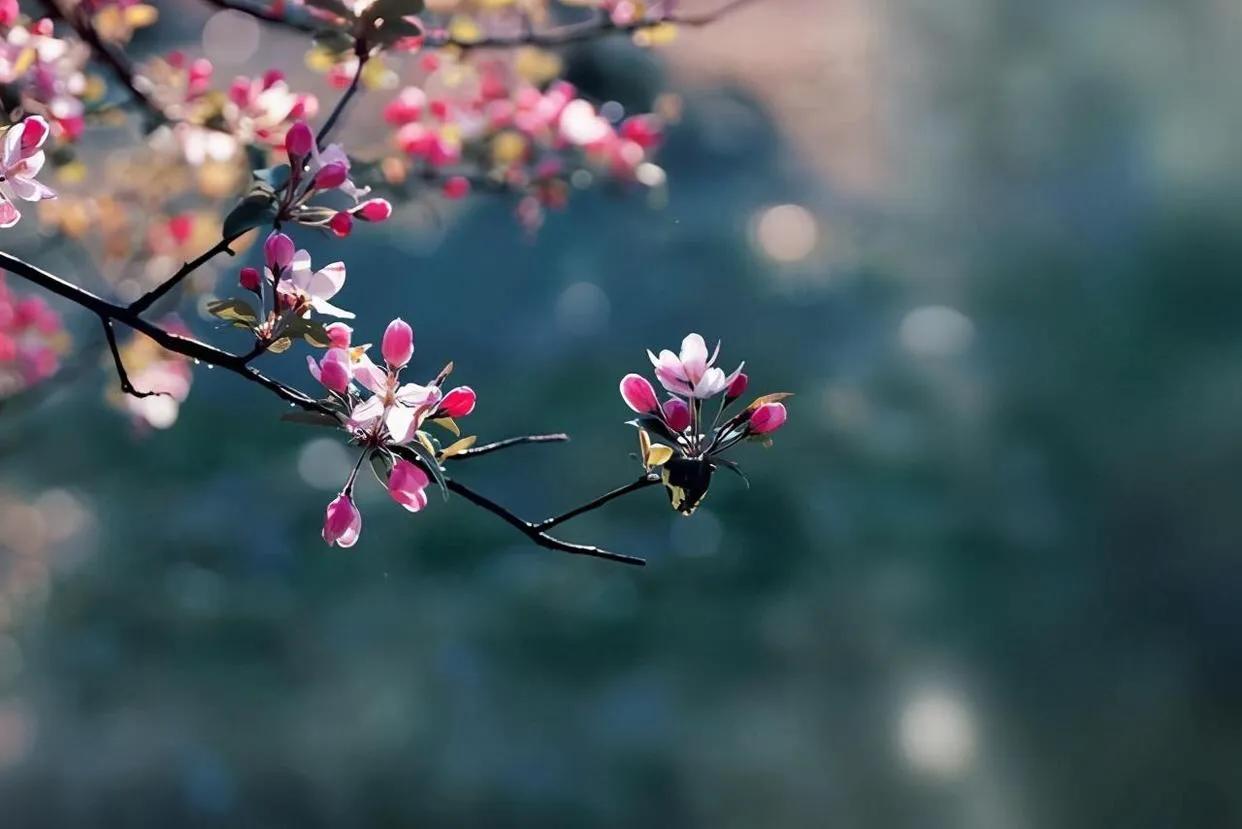 语法填空如何判断非限制定语从句,英语非限制性定语从句语法填空