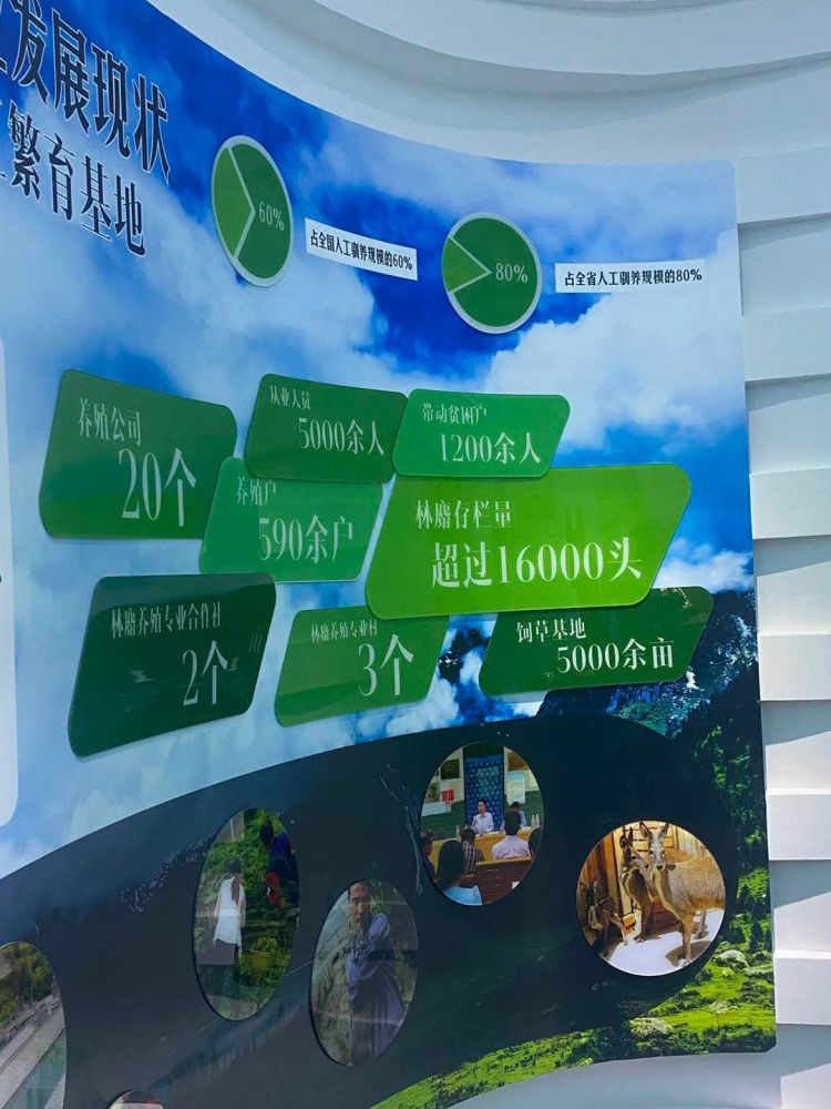 以点带面促营销,以点带面是什么效应