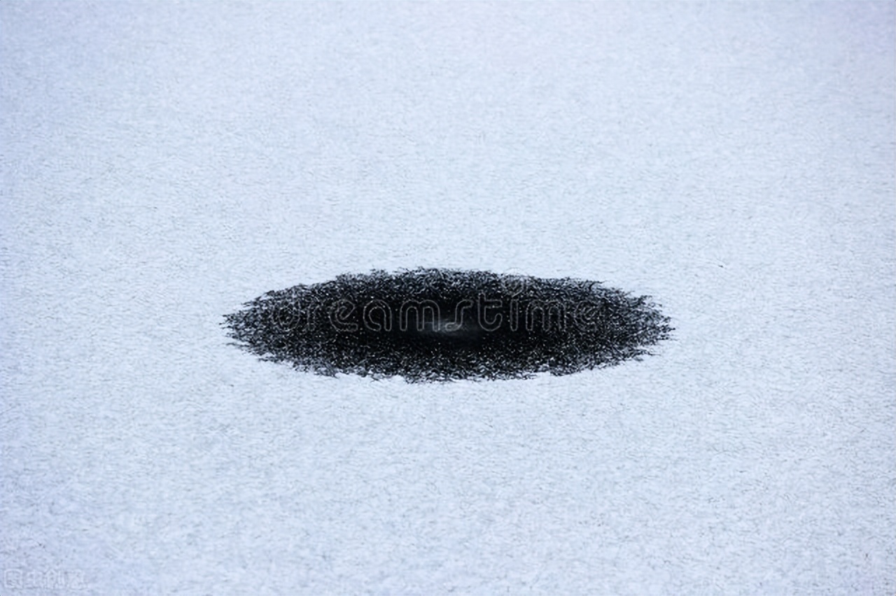 虎甲虫是世界上跑的最快的虫吗,虎甲虫是最快的昆虫吗