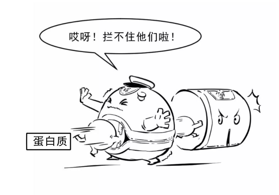 肾病综合征患者停药后要注意什么,老年人肾病综合征有哪些注意事项