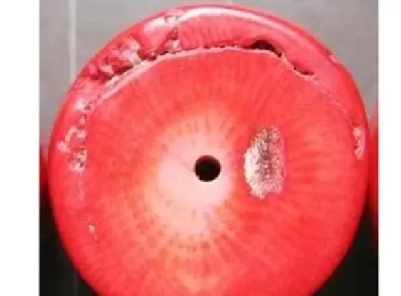 熊咩咩说珠宝,红珊瑚与蜜蜡的区别