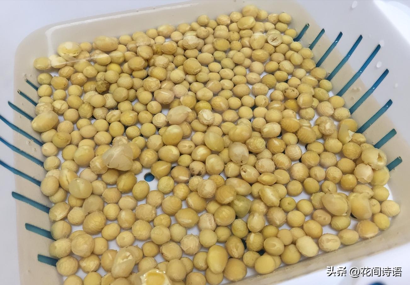 懒人养花技巧图片简单好看,懒人养花小妙招视频