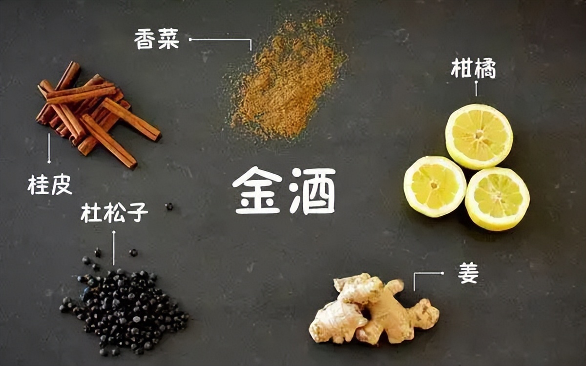 怎样快速了解酒知识,金酒基本知识定义