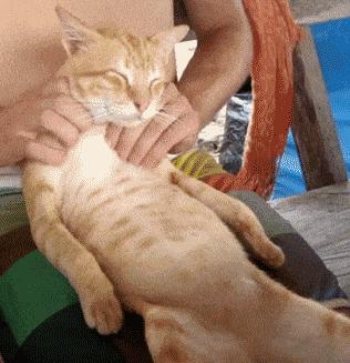 宅家无聊自己寻开心,宅在家无聊如何赚钱