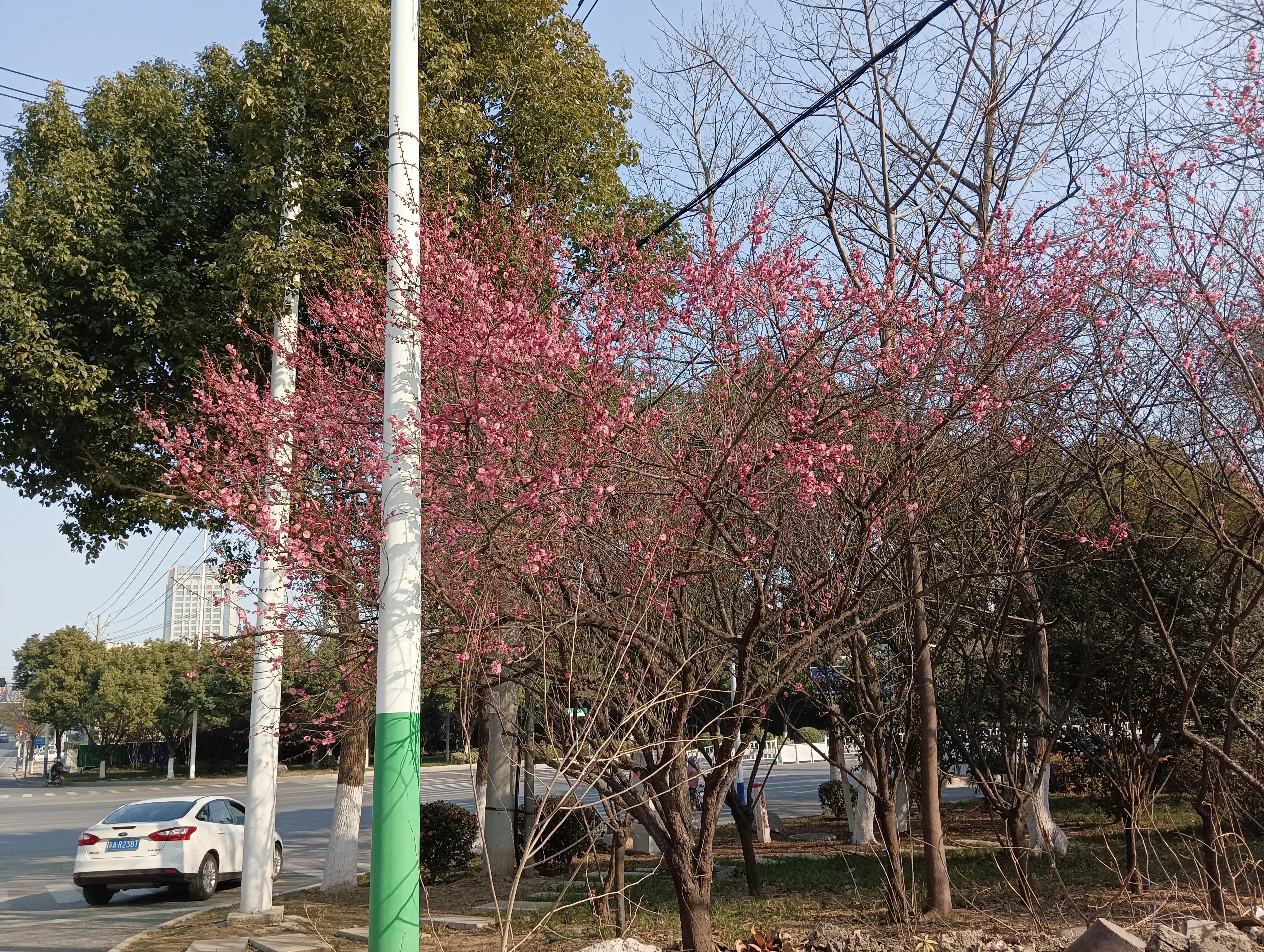 高*陪三**读日记——足球该不该踢