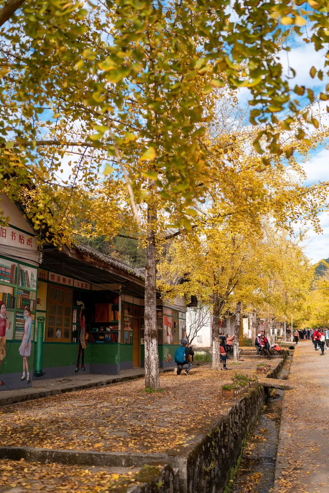 letsgo一周目图文攻略,letsgo图鉴攻略