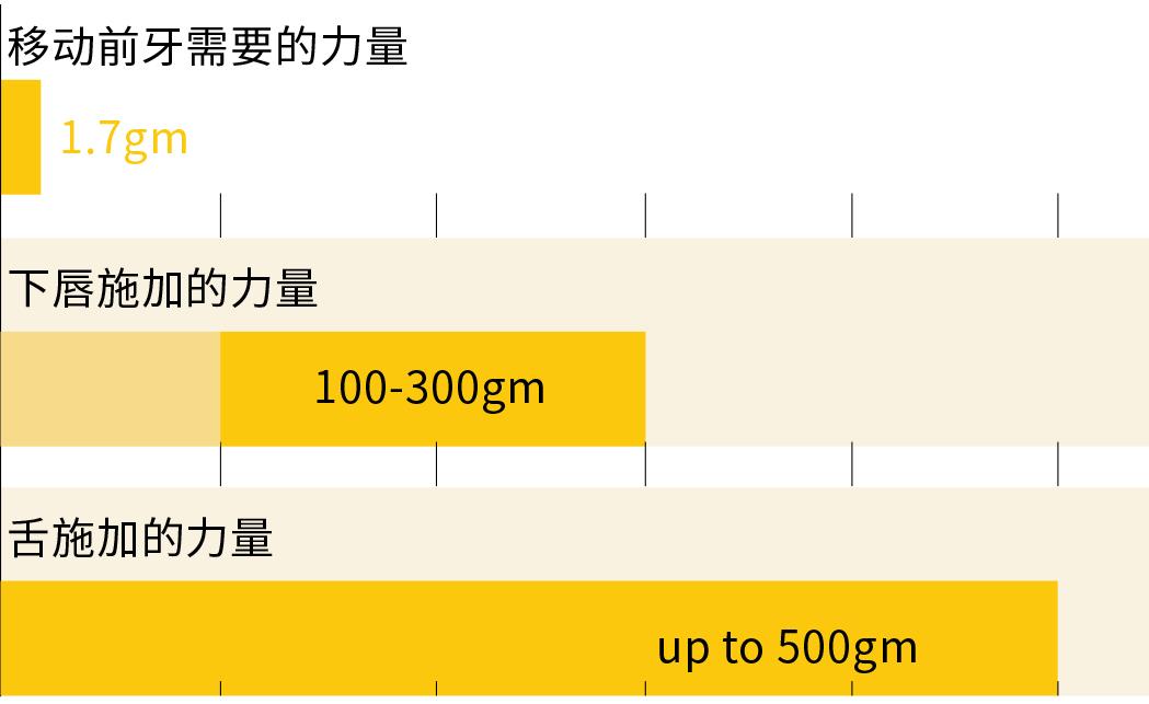 口腔课程表,儿童青少年口腔保健