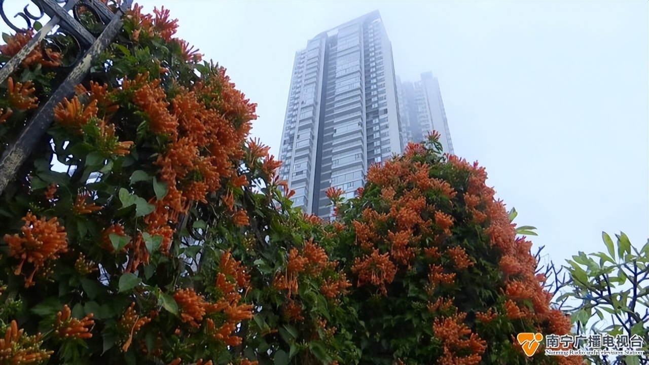 南宁天气预报未来15天回南天,2022南宁回南天什么时候结束