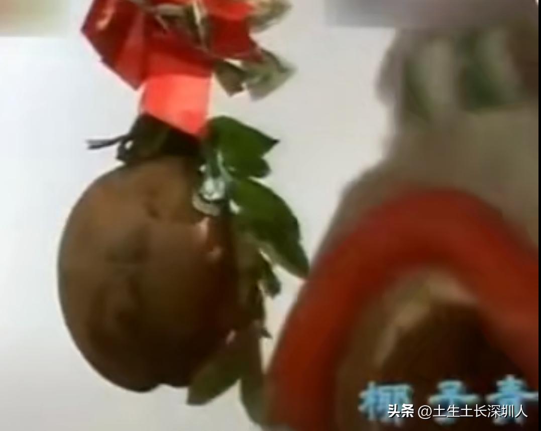 醒狮采青的青有什么材料,醒狮采青的过程正确的顺序