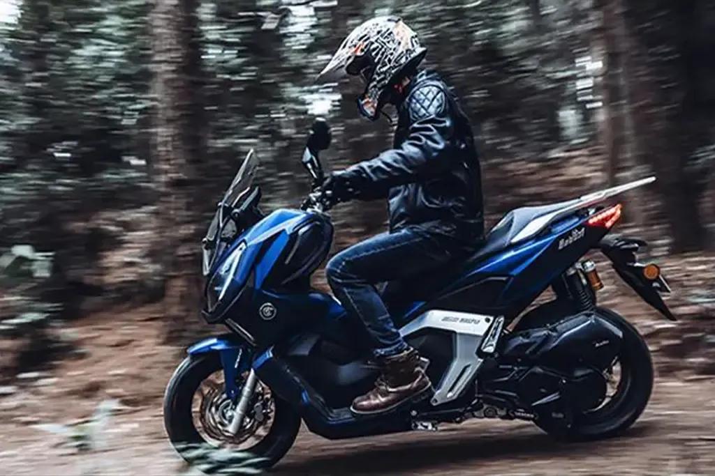 灵动山猫嘉陵驾到