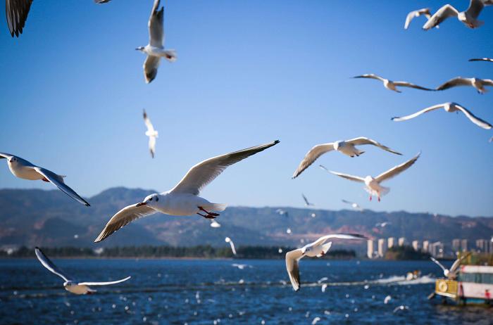 昆明到重庆沿途自驾游景点,昆明到防城港自驾游主要景点